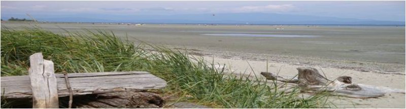 vancouver island shoreline